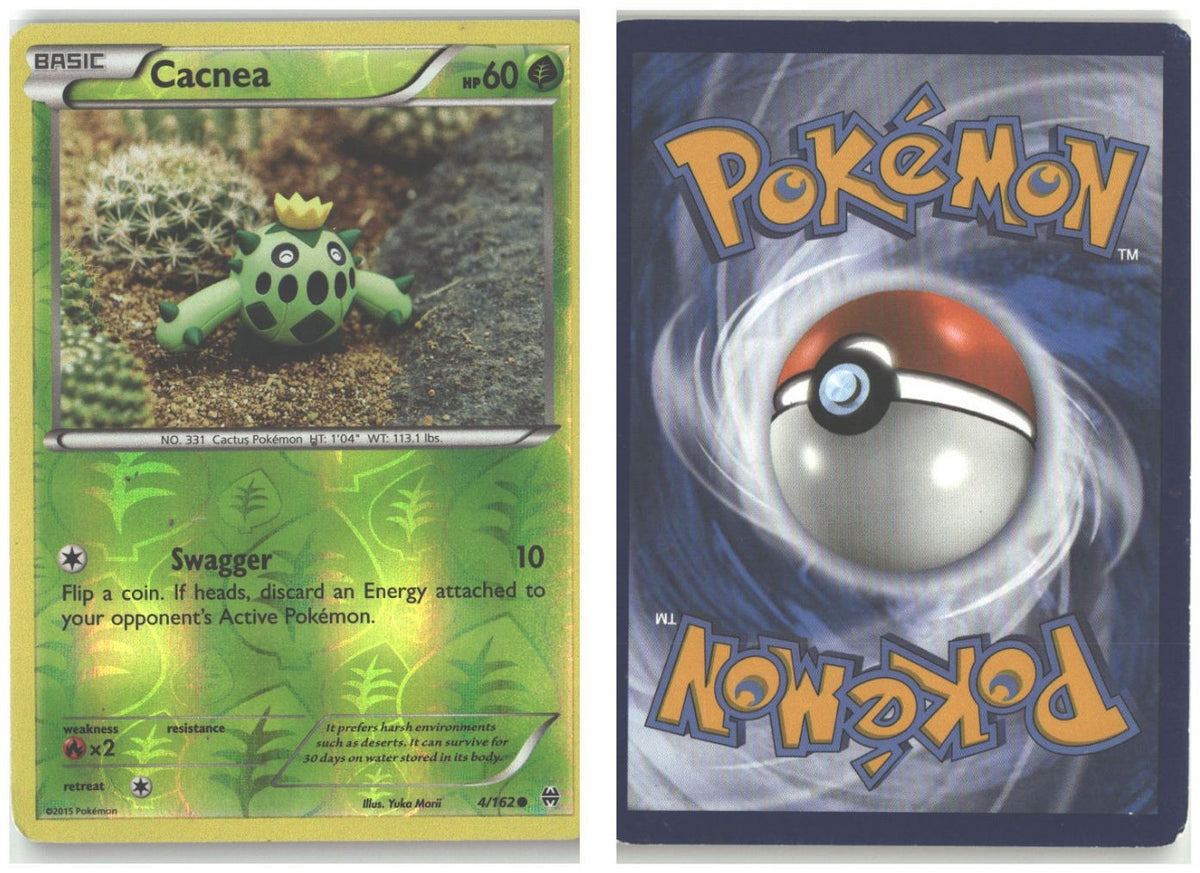 Front + Back scan