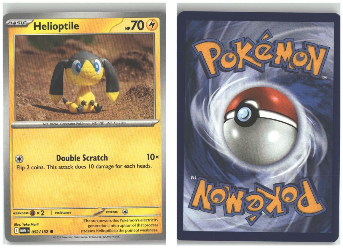 Front + Back scan