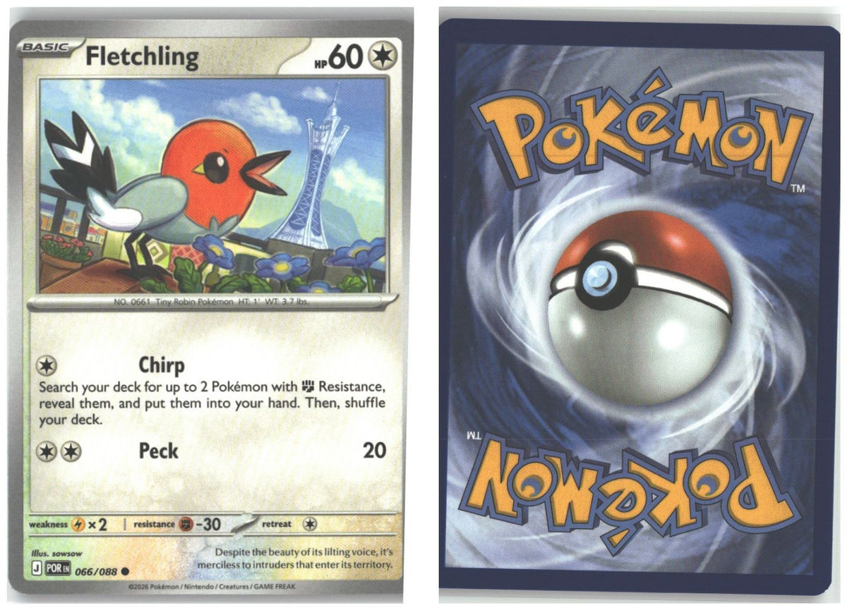 Front + Back scan