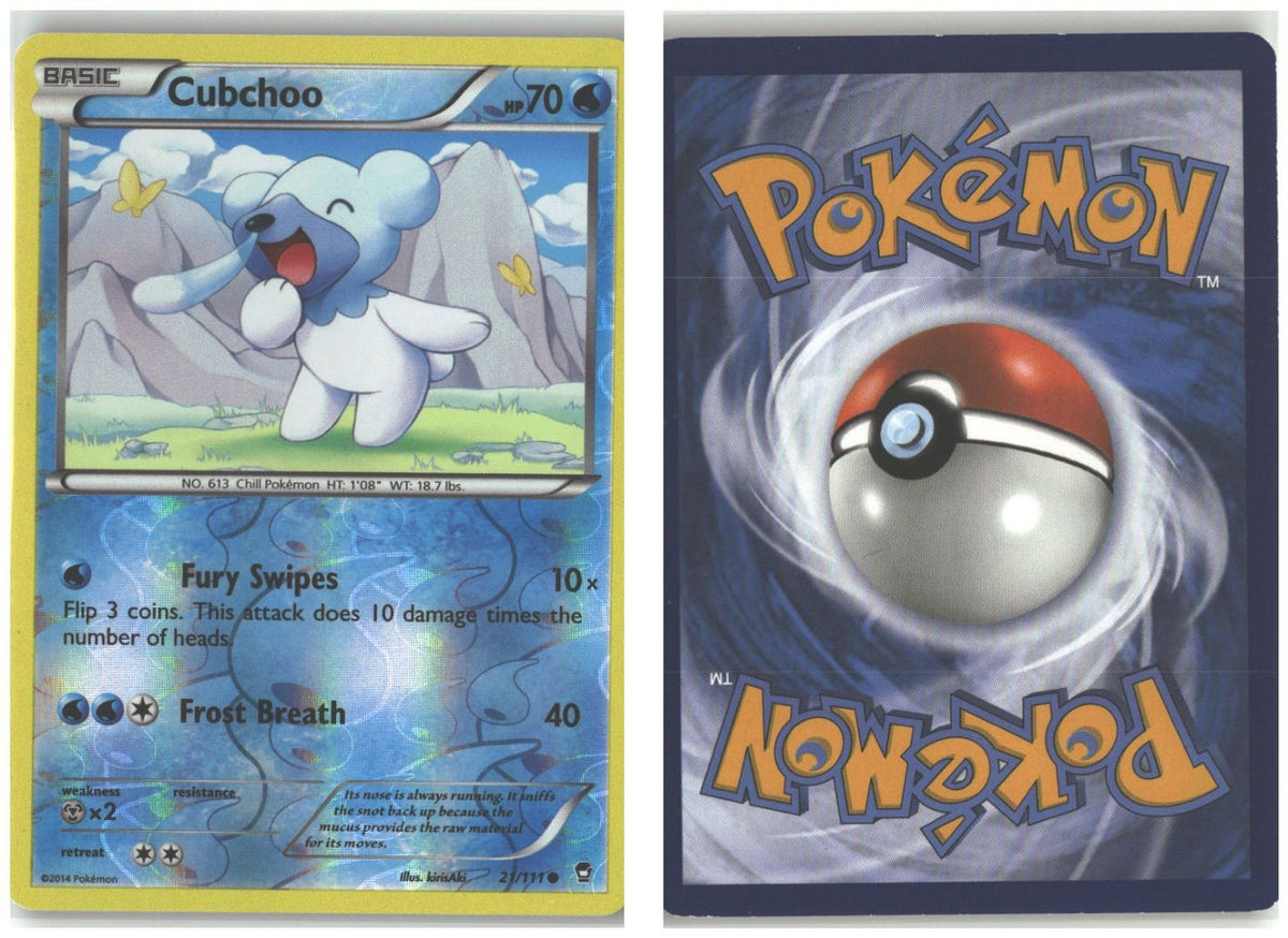 Front + Back scan