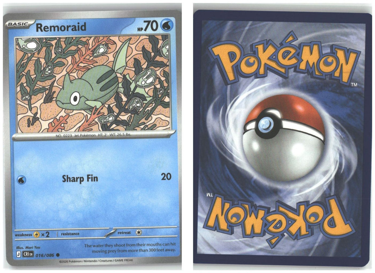 Front + Back scan