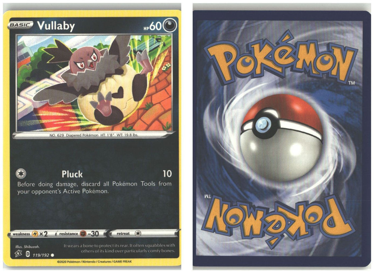 Front + Back scan