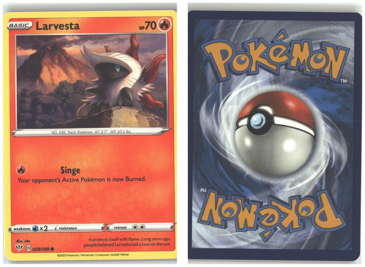 Front + Back scan