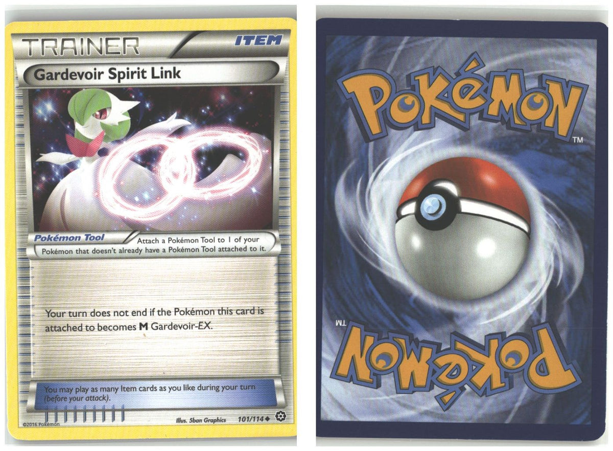 Front + Back scan