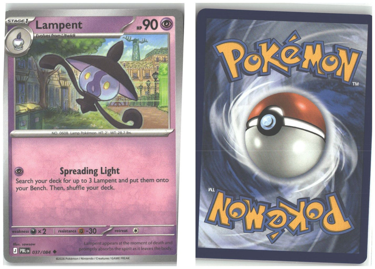 Front + Back scan