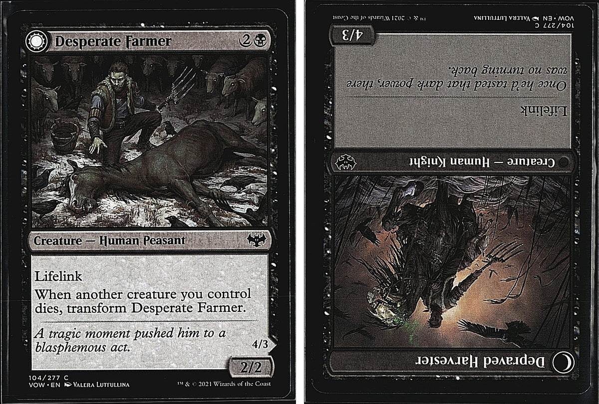 Front + Back scan
