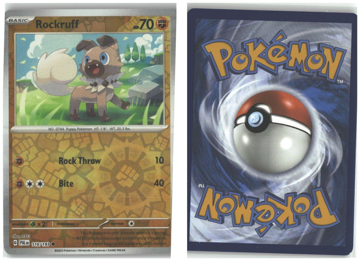 Front + Back scan