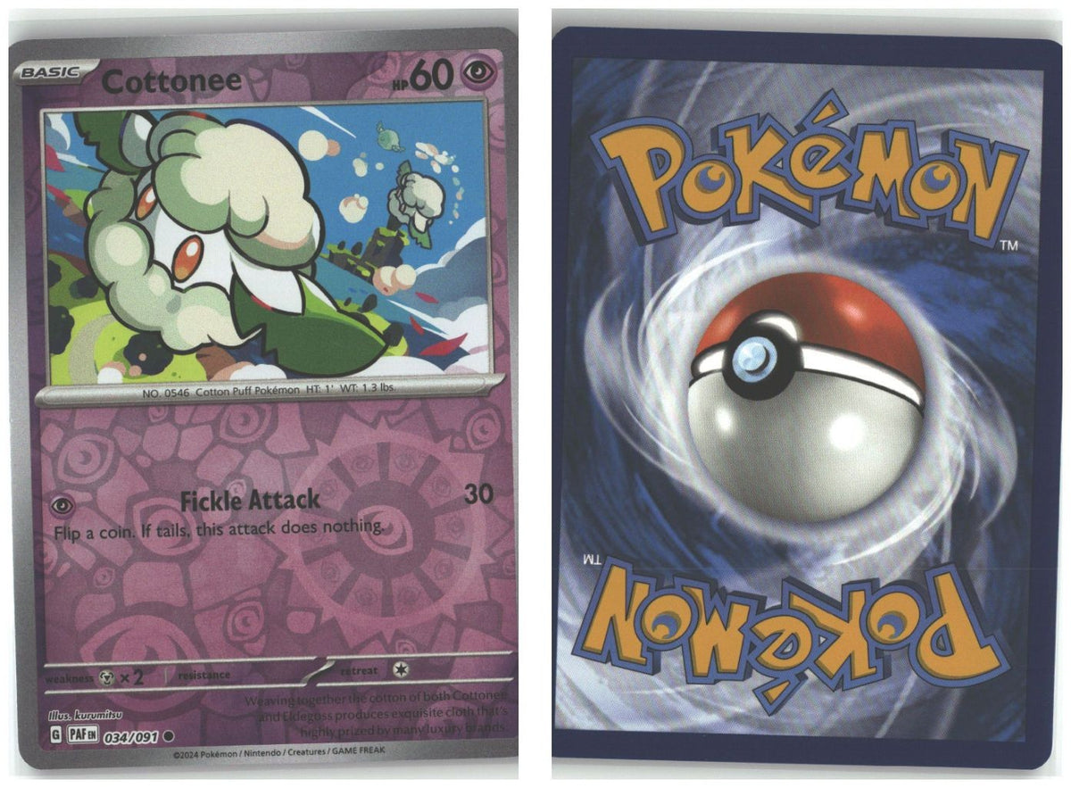 Front + Back scan