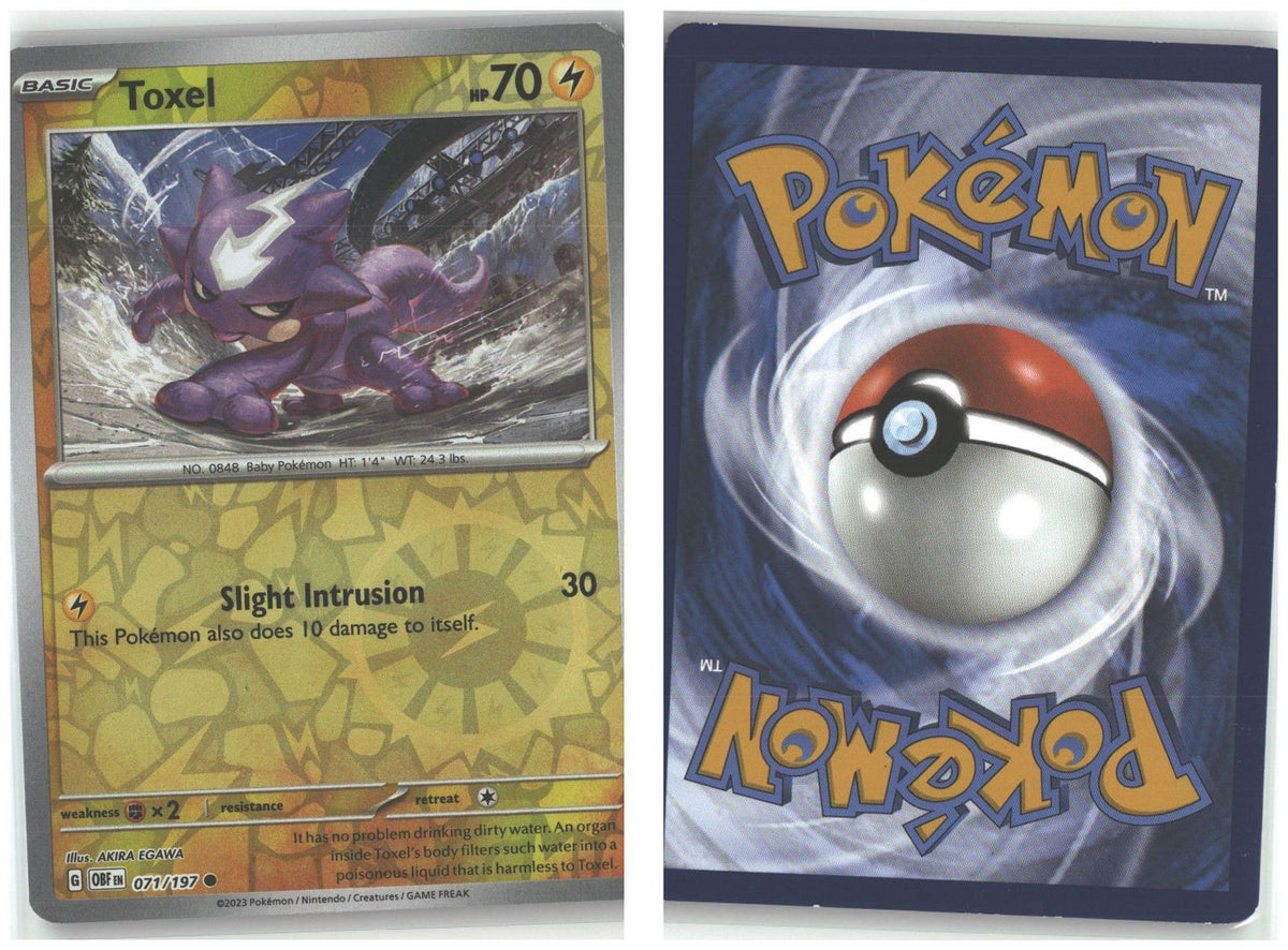 Front + Back scan