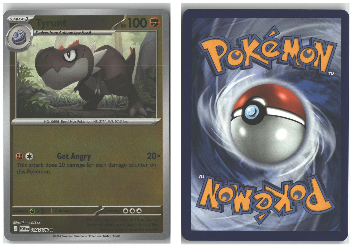 Front + Back scan
