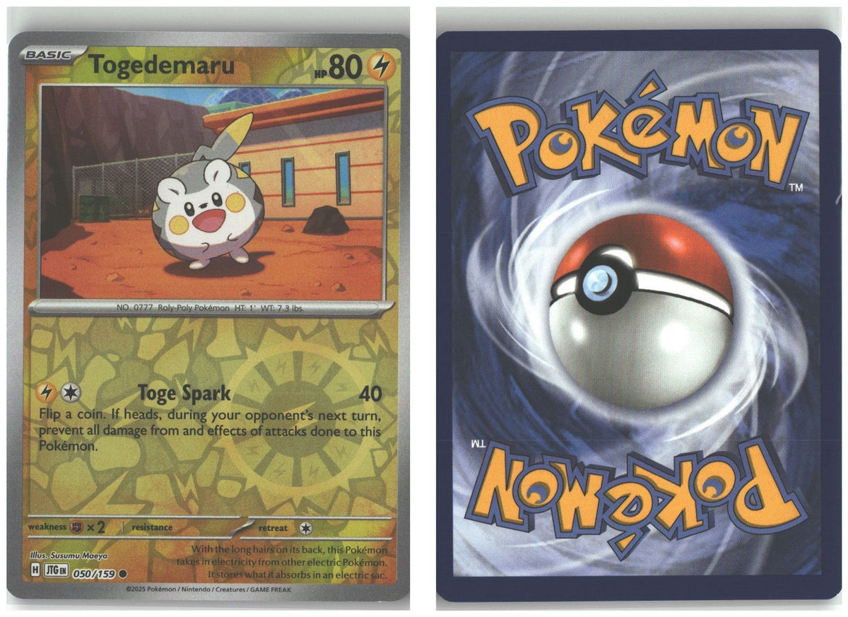 Front + Back scan