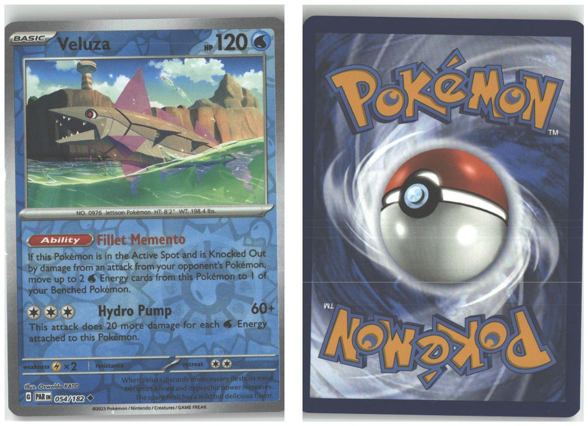 Front + Back scan