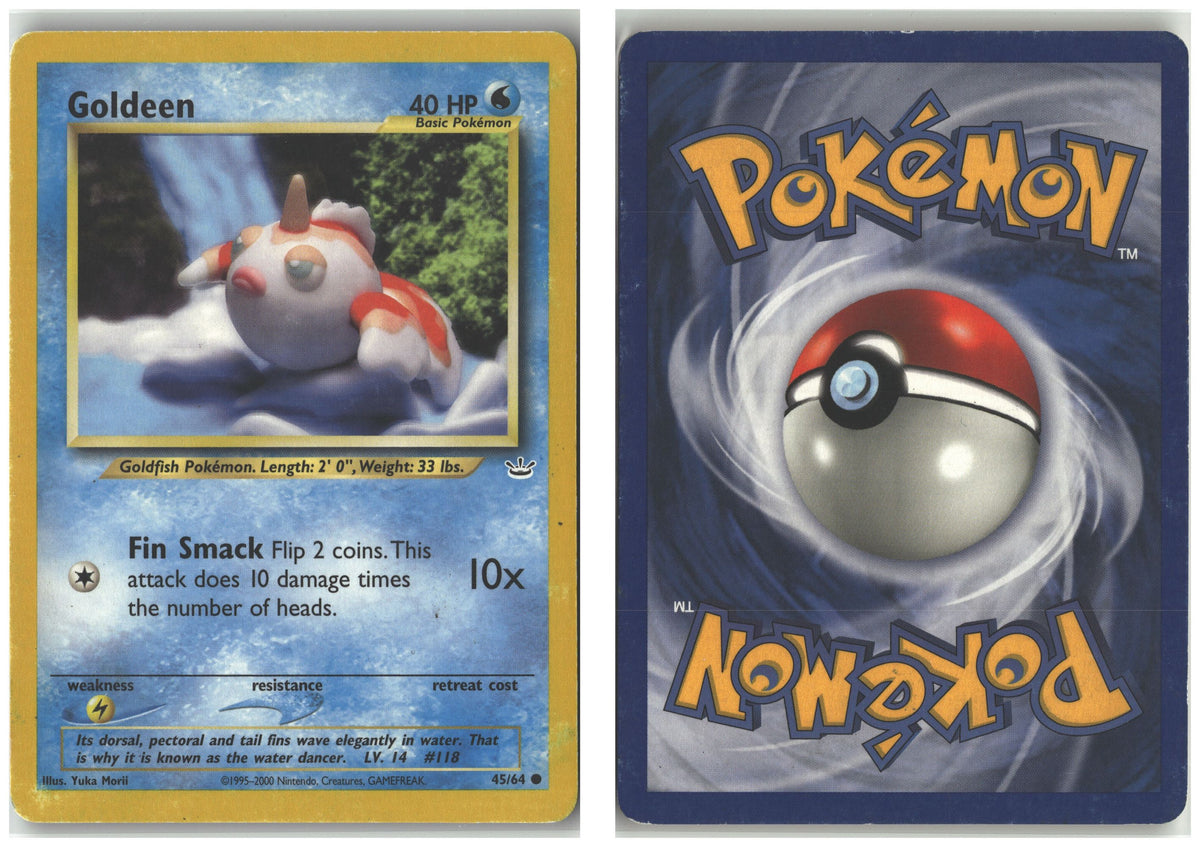 Front + Back scan
