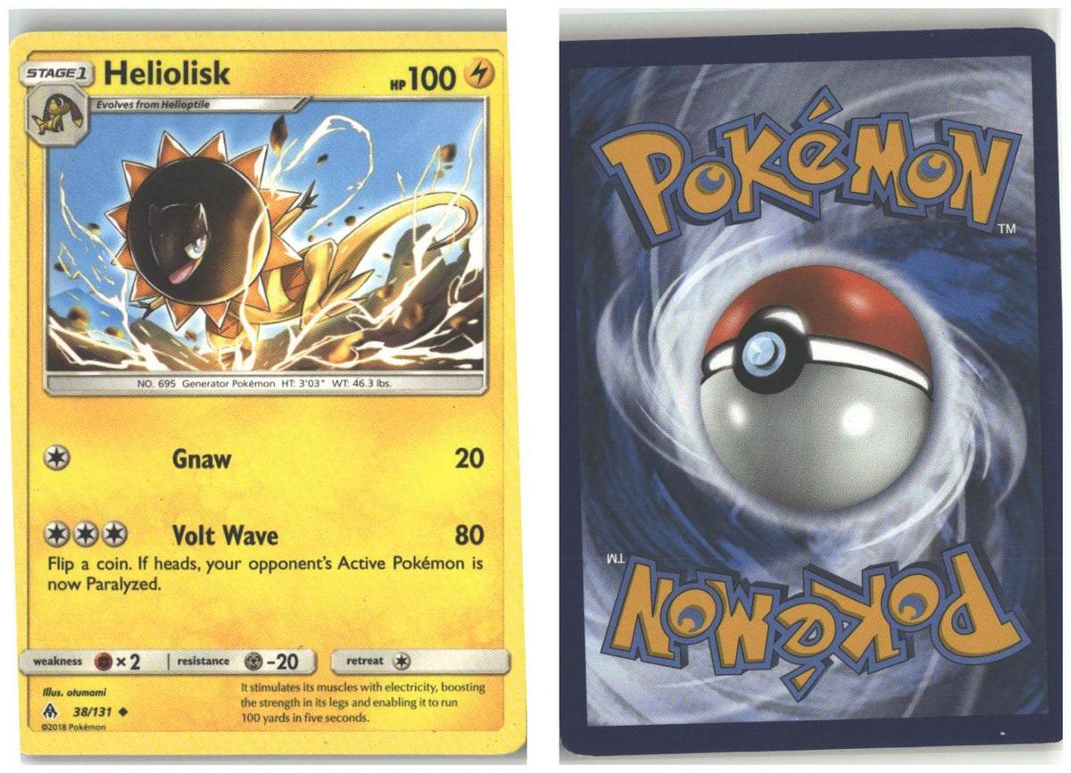 Front + Back scan