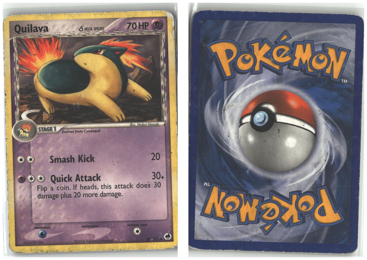 Front + Back scan