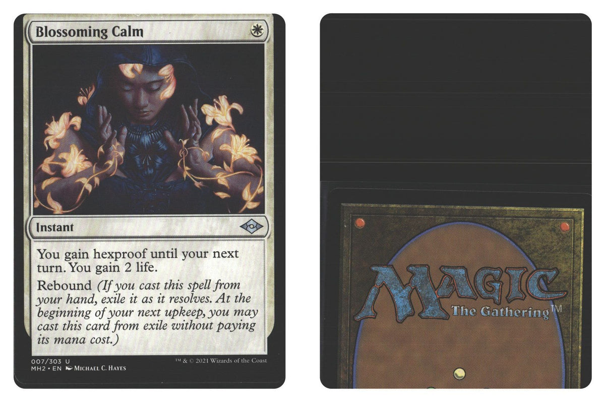 Front + Back scan