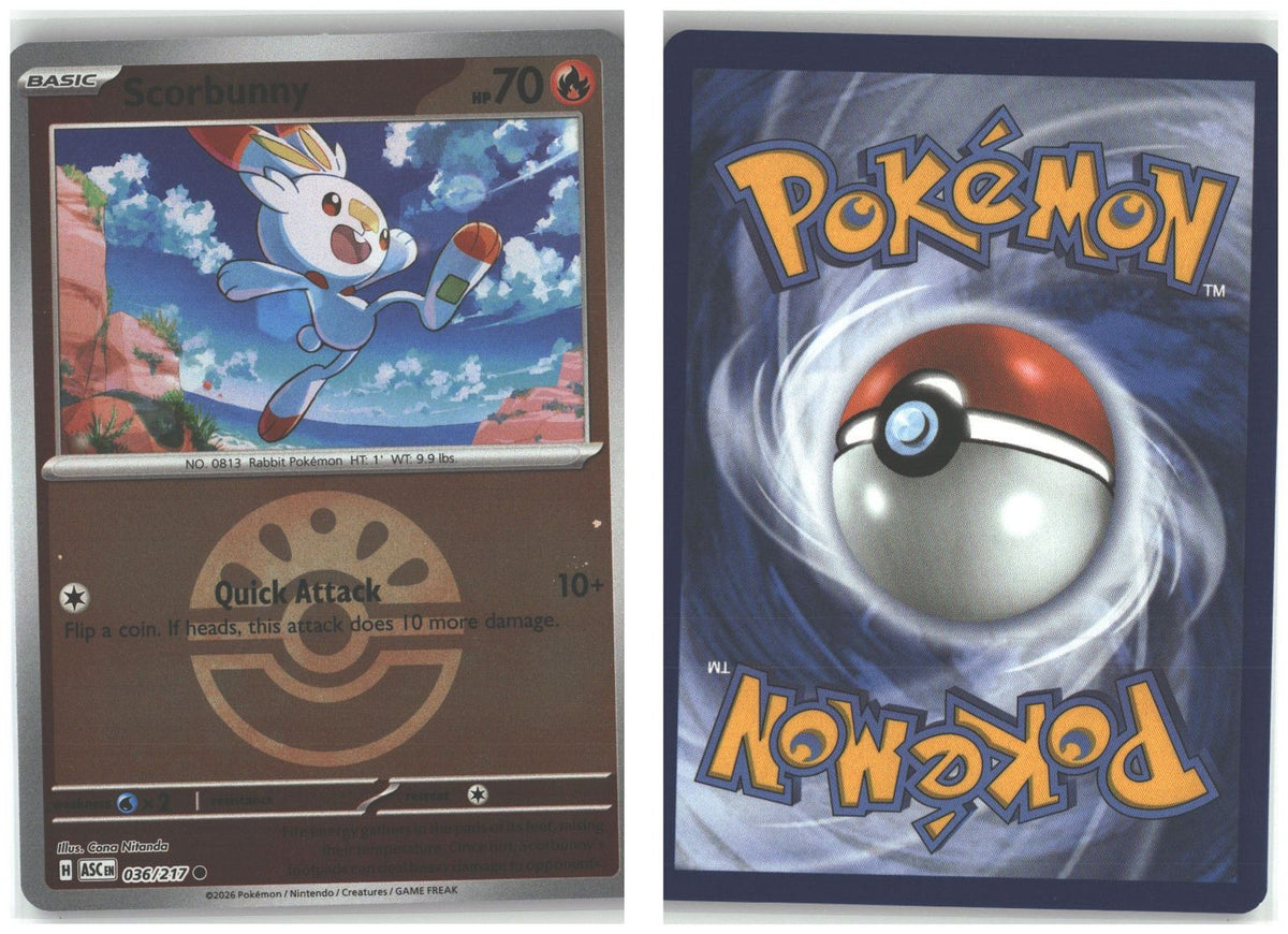 Front + Back scan