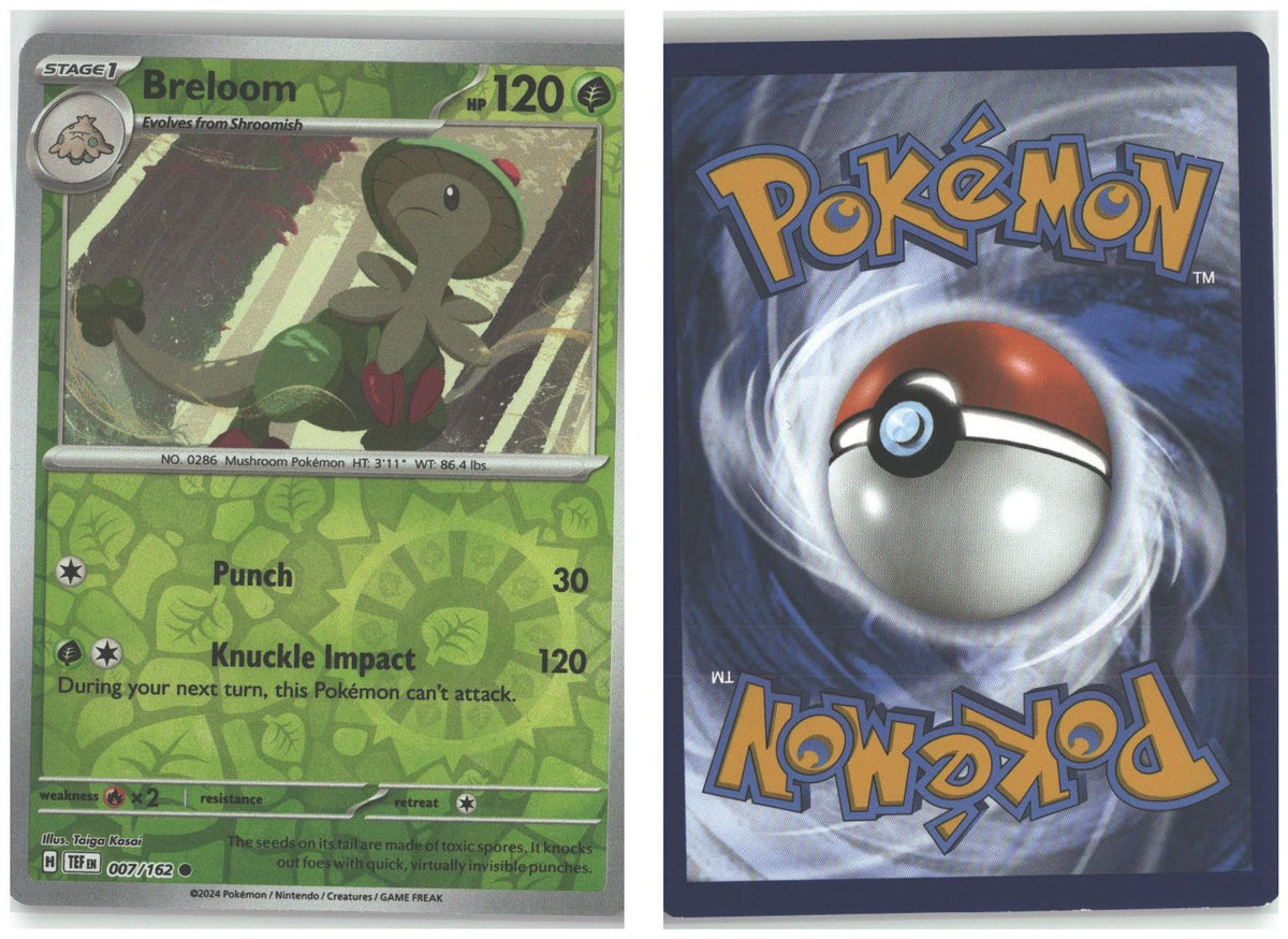 Front + Back scan