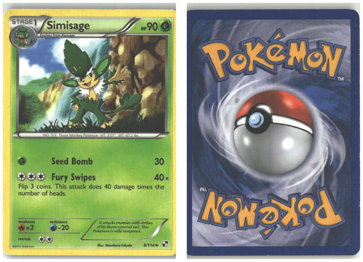 Front + Back scan
