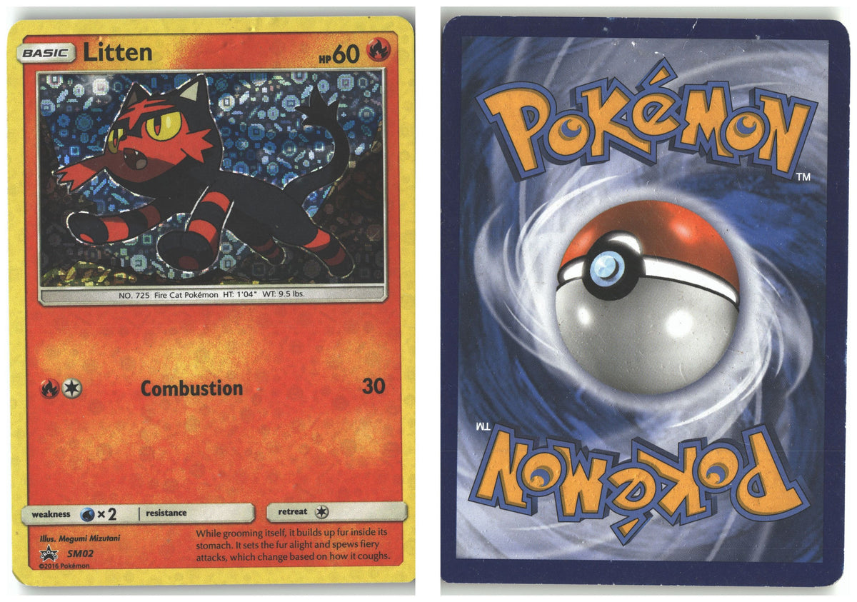 Front + Back scan