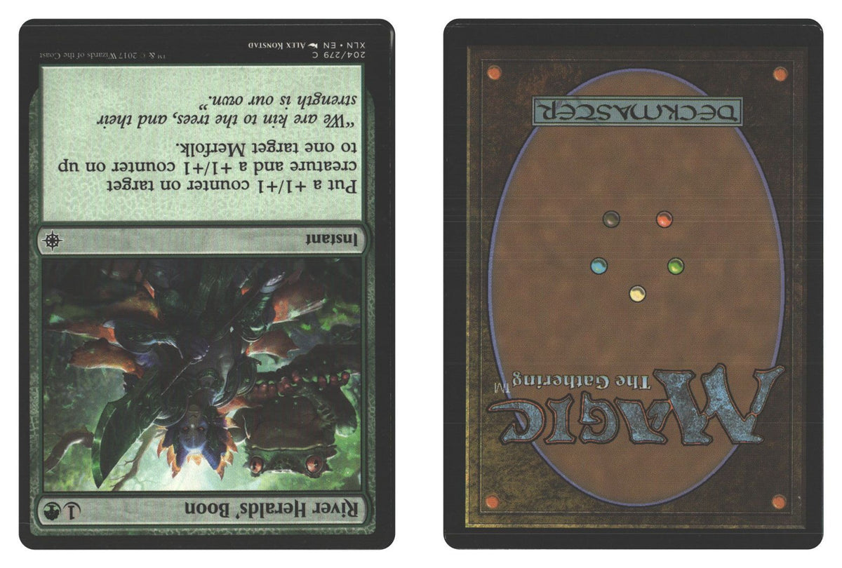 Front + Back scan