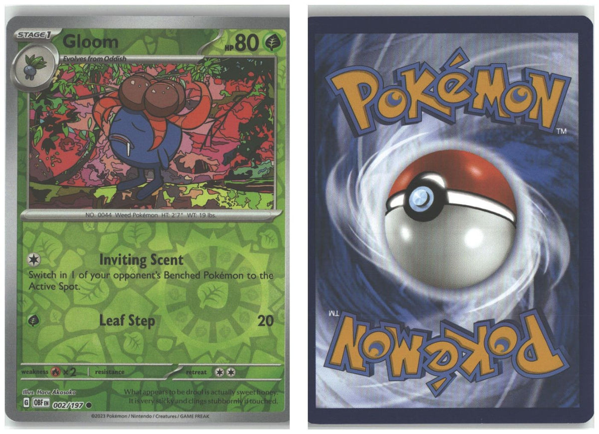 Front + Back scan