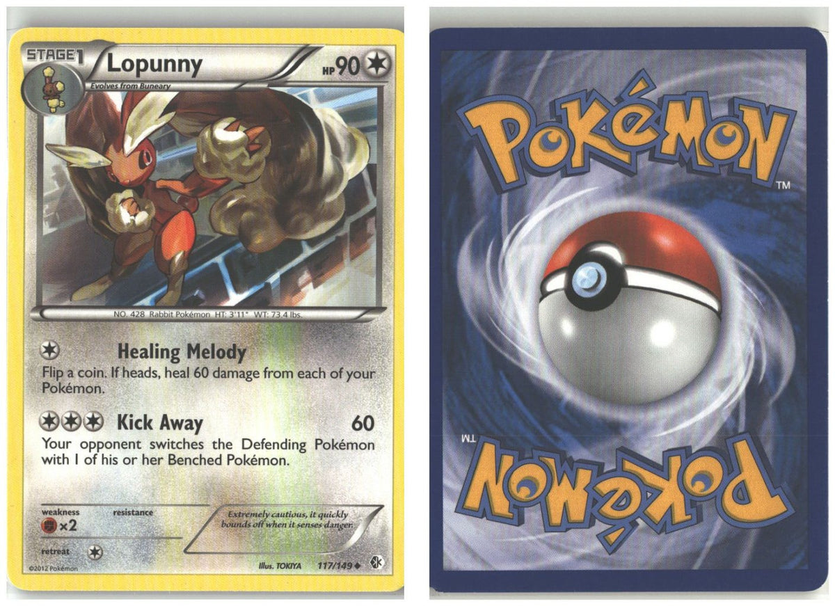 Front + Back scan