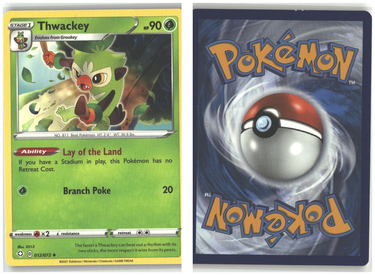 Front + Back scan