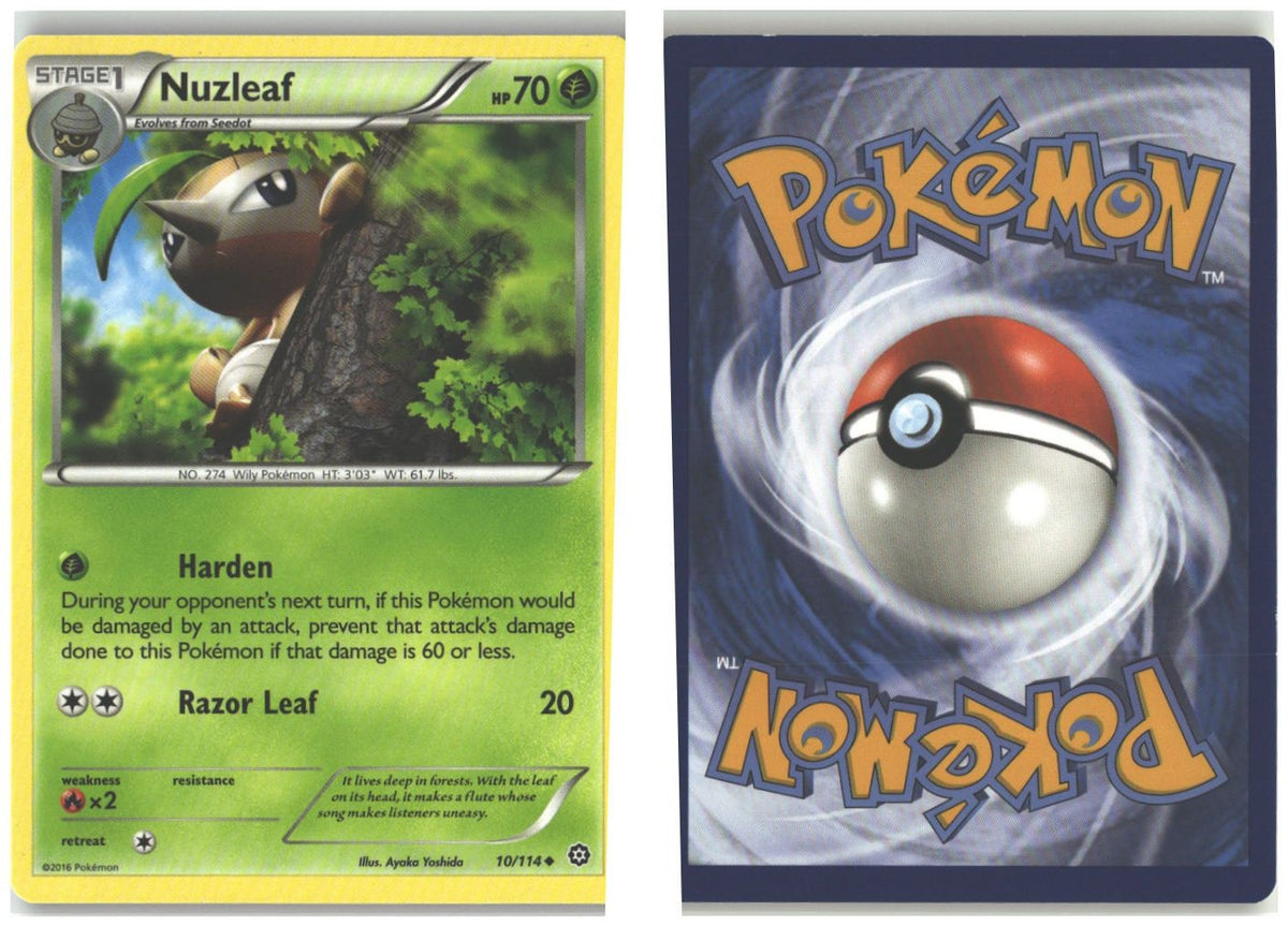 Front + Back scan