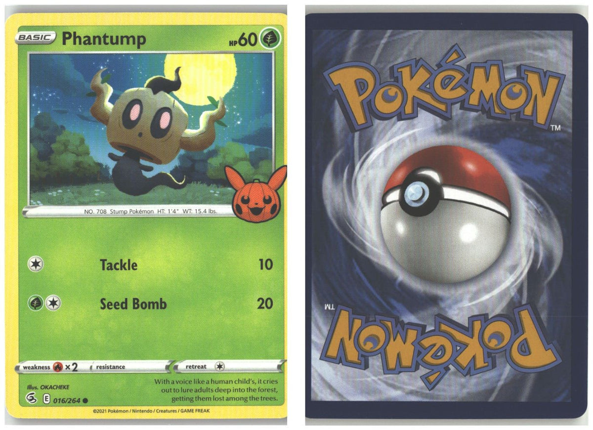 Front + Back scan