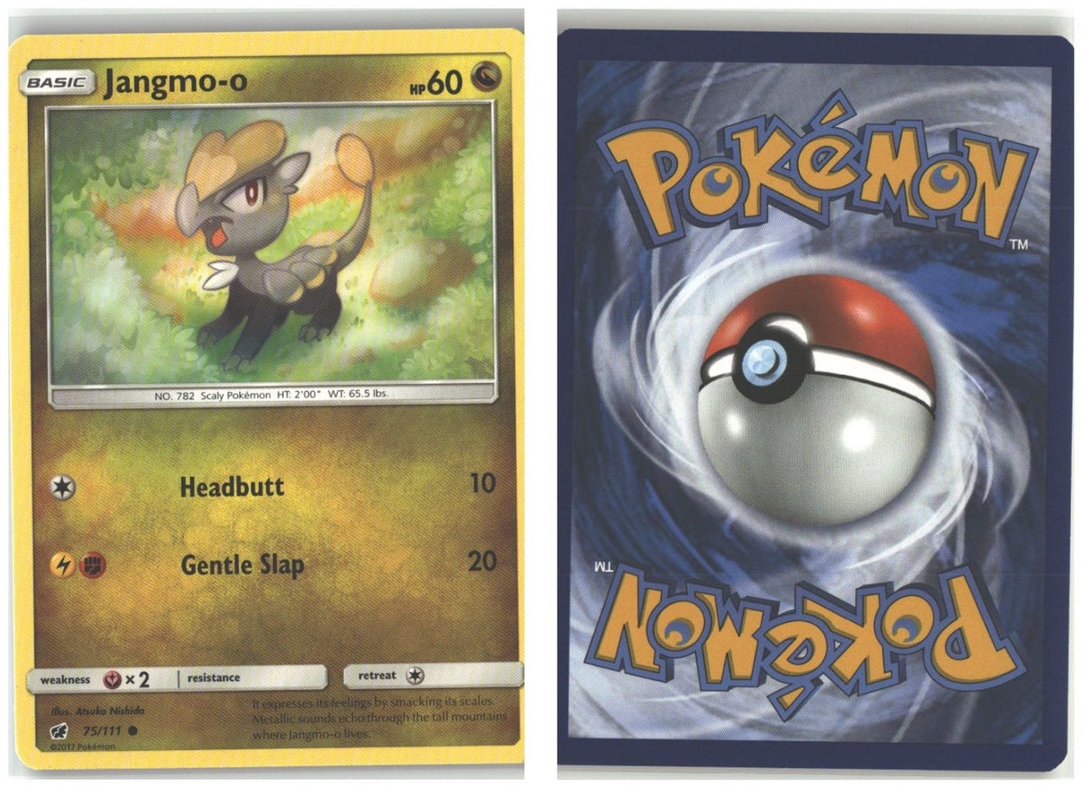 Front + Back scan