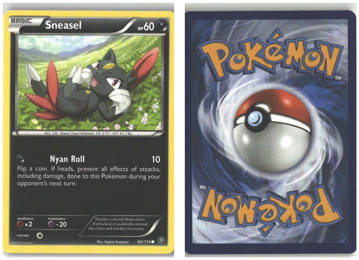 Front + Back scan