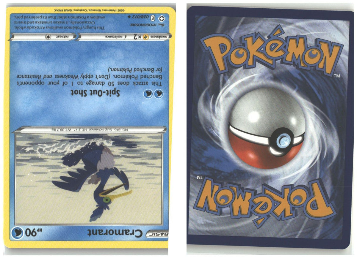 Front + Back scan