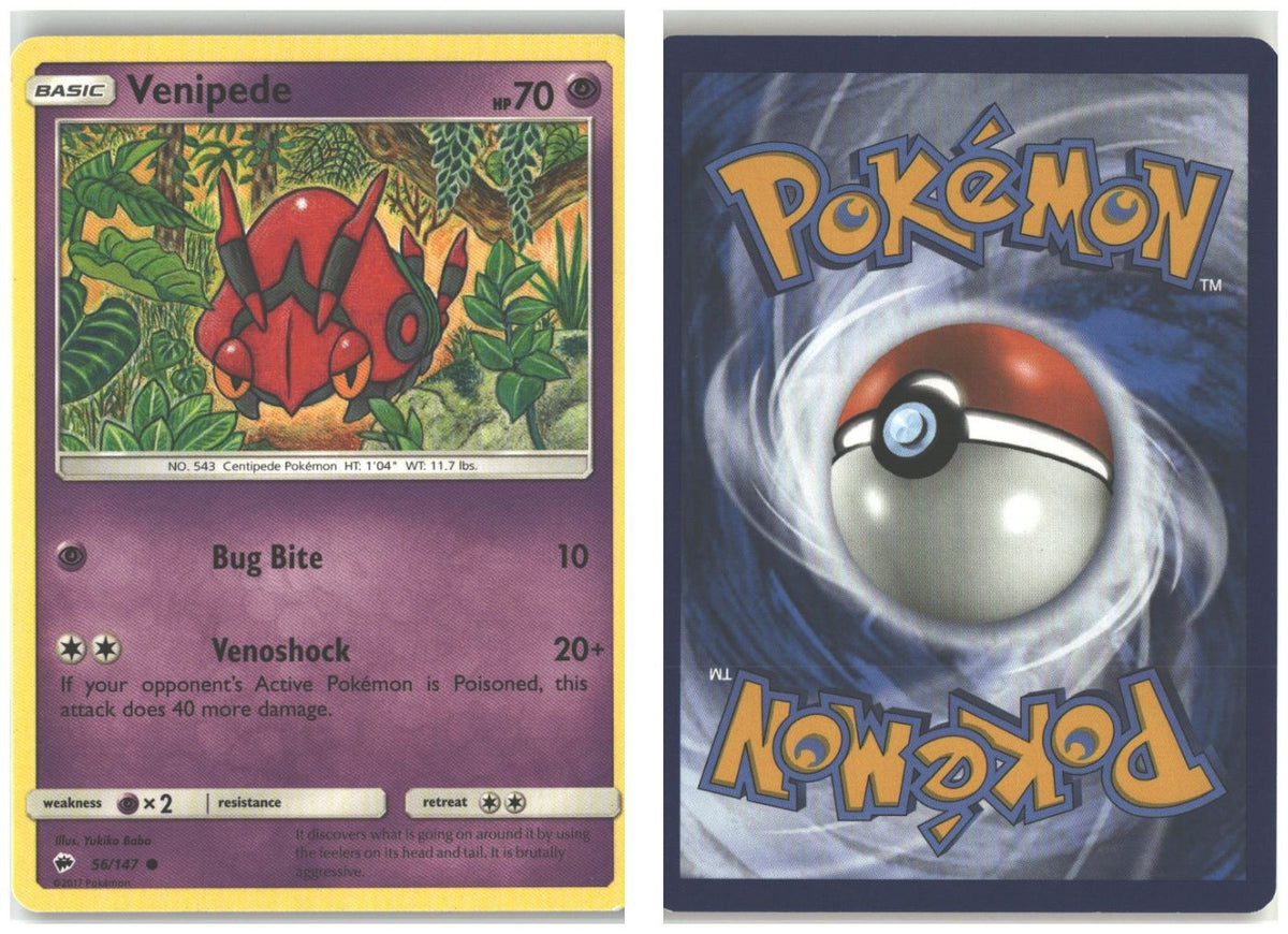 Front + Back scan