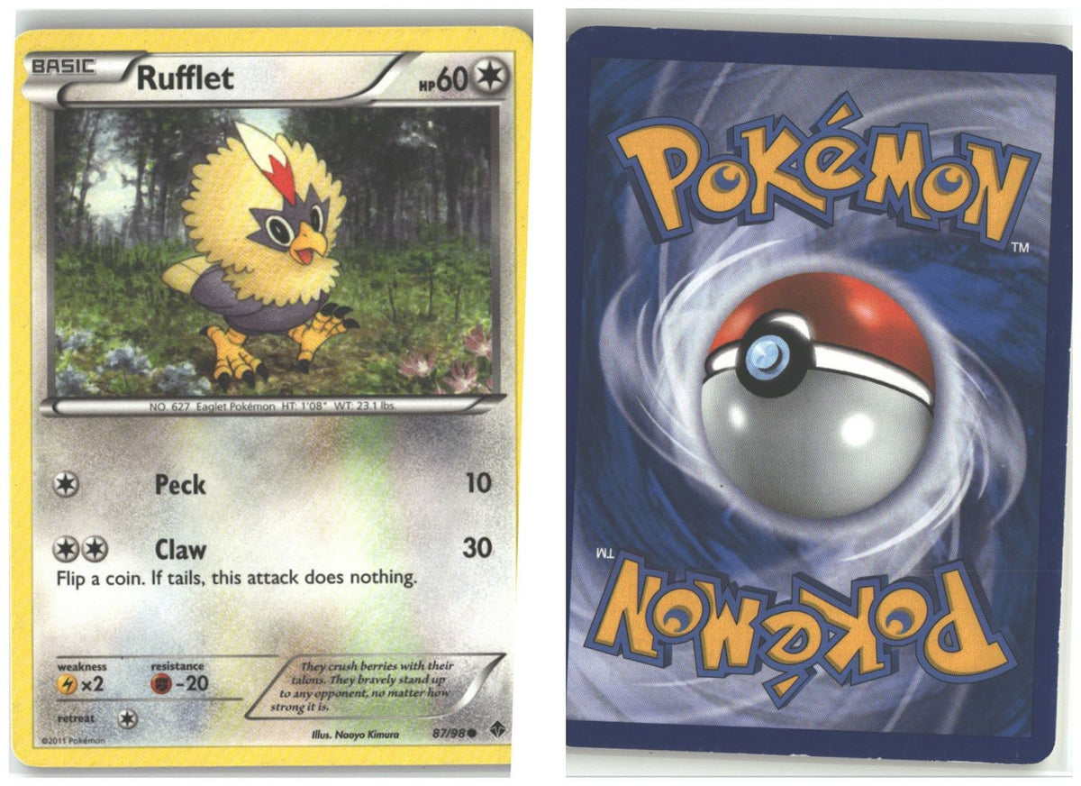 Front + Back scan