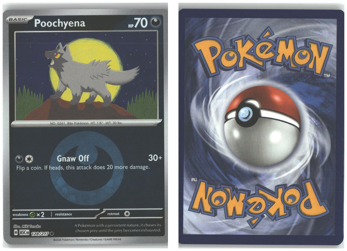 Front + Back scan