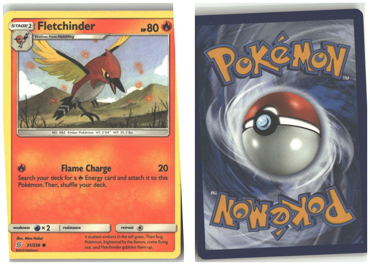 Front + Back scan
