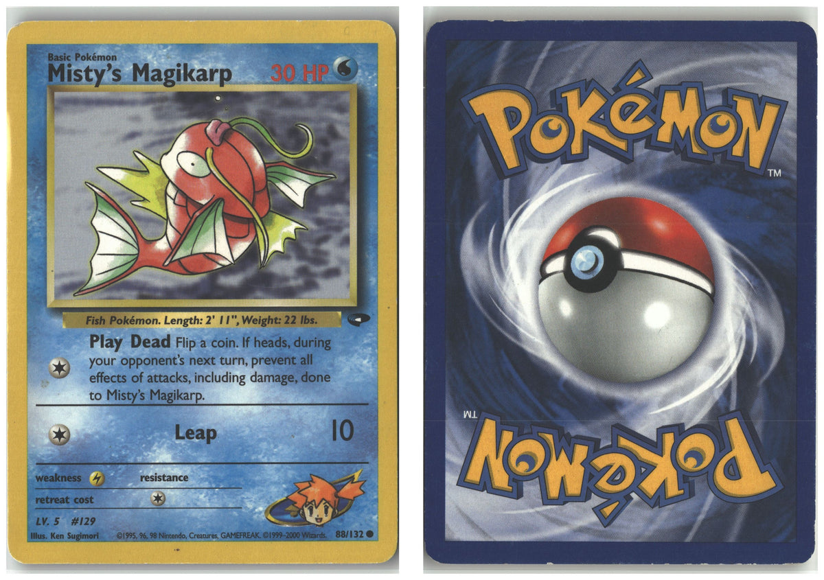 Front + Back scan