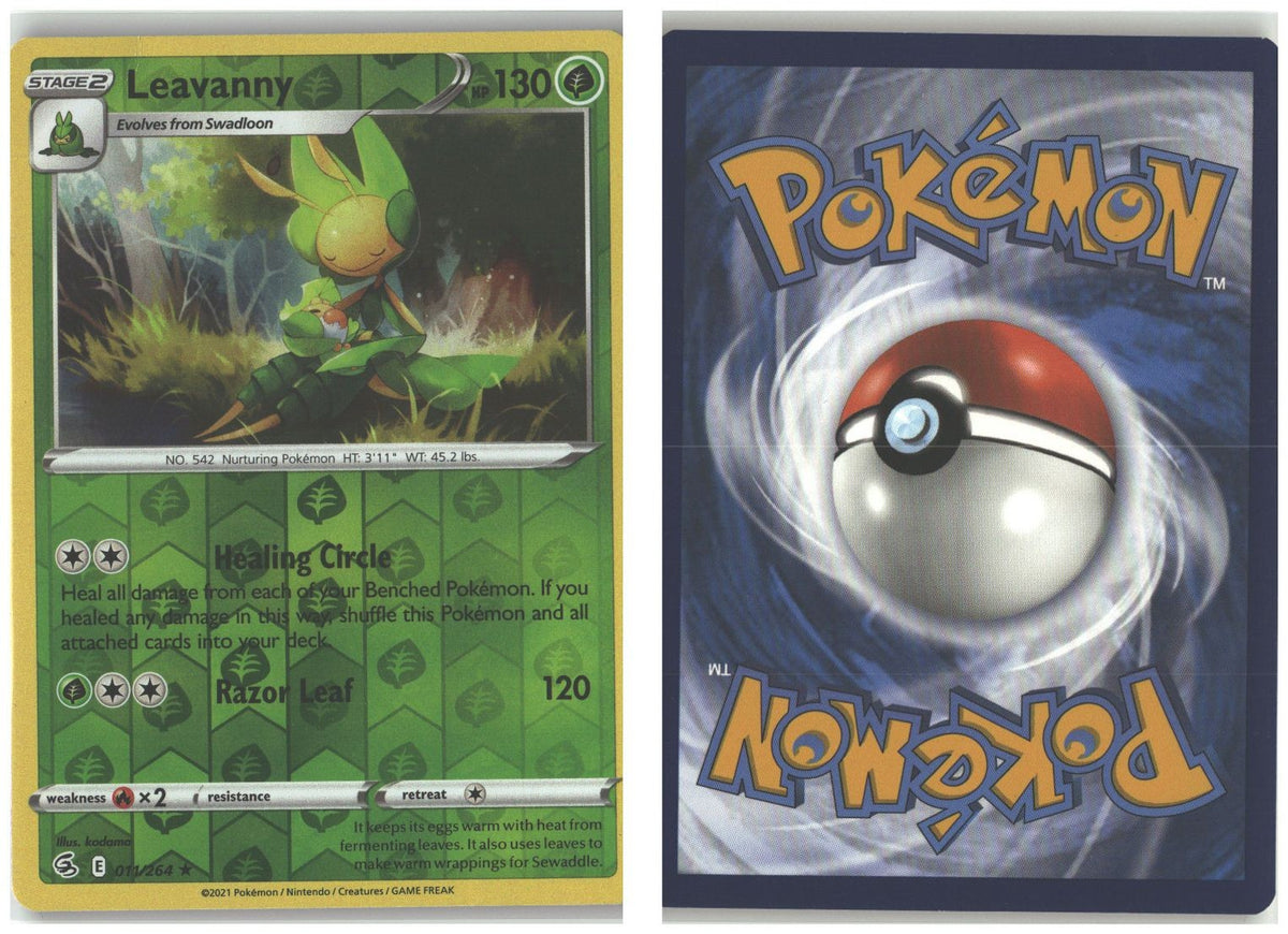 Front + Back scan