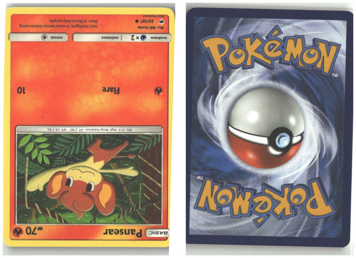 Front + Back scan
