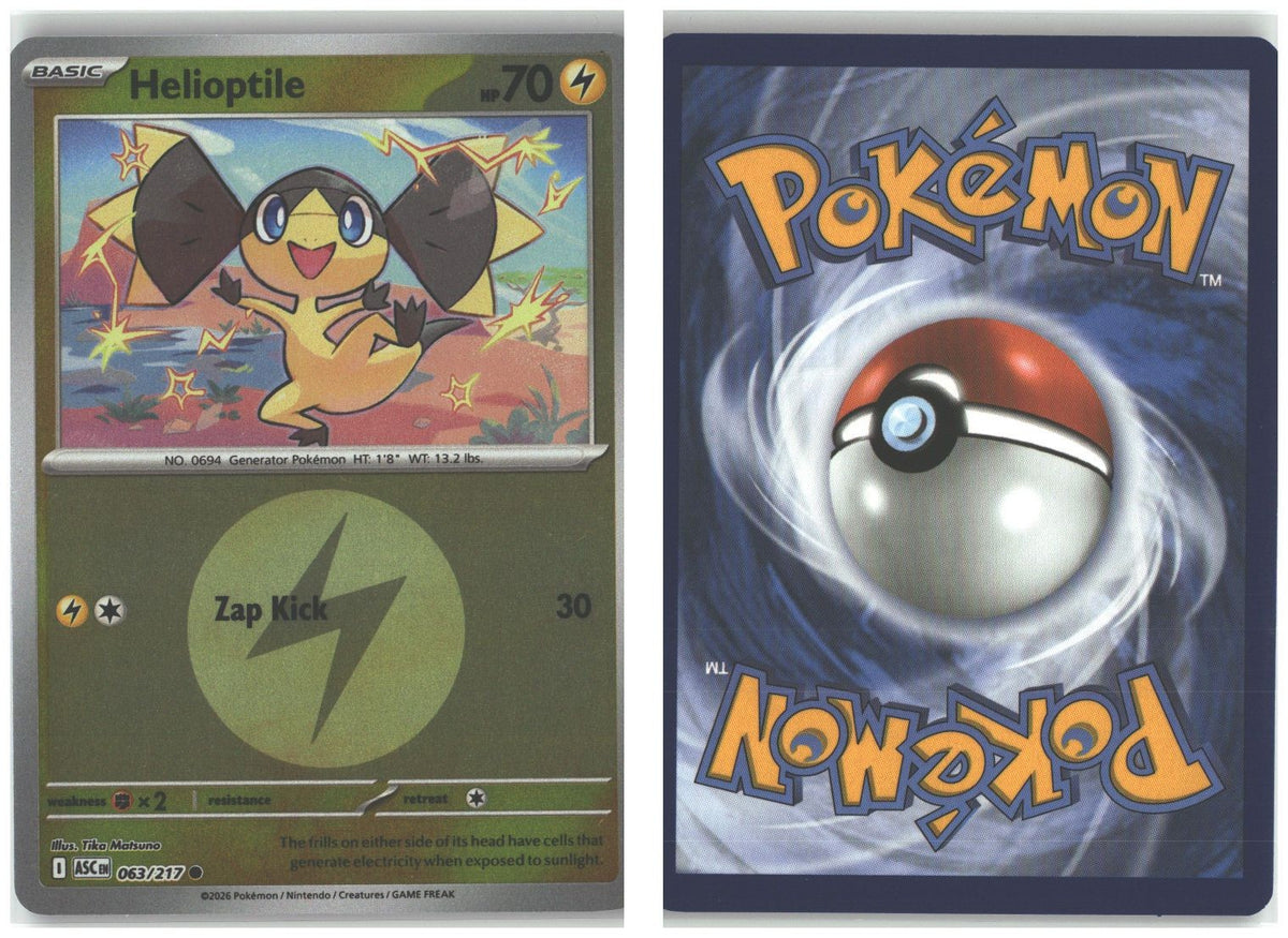 Front + Back scan