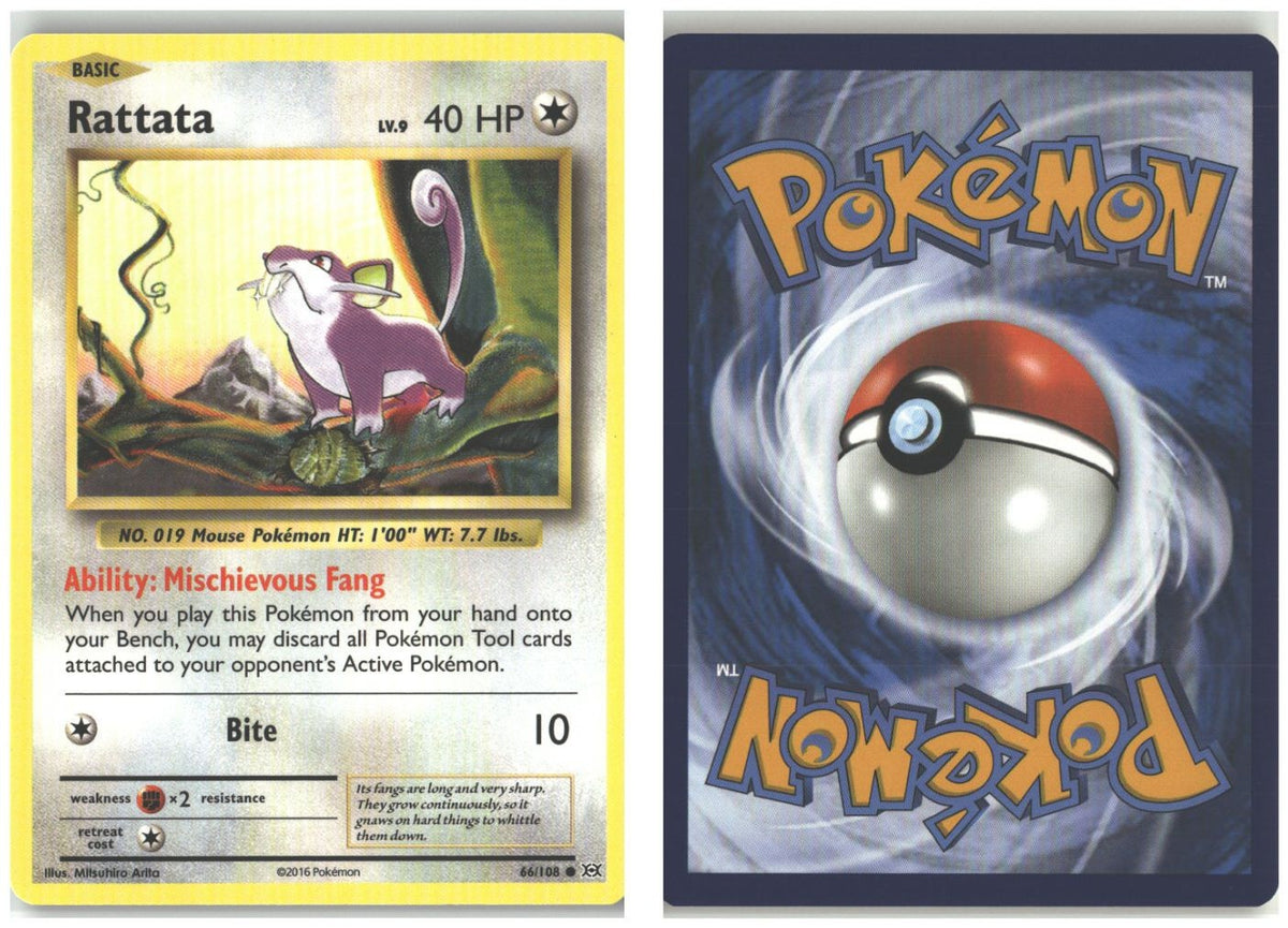 Front + Back scan