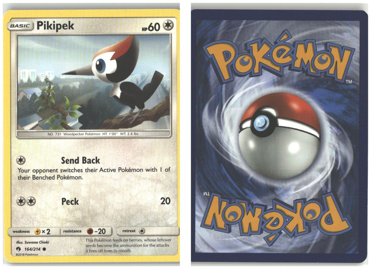 Front + Back scan