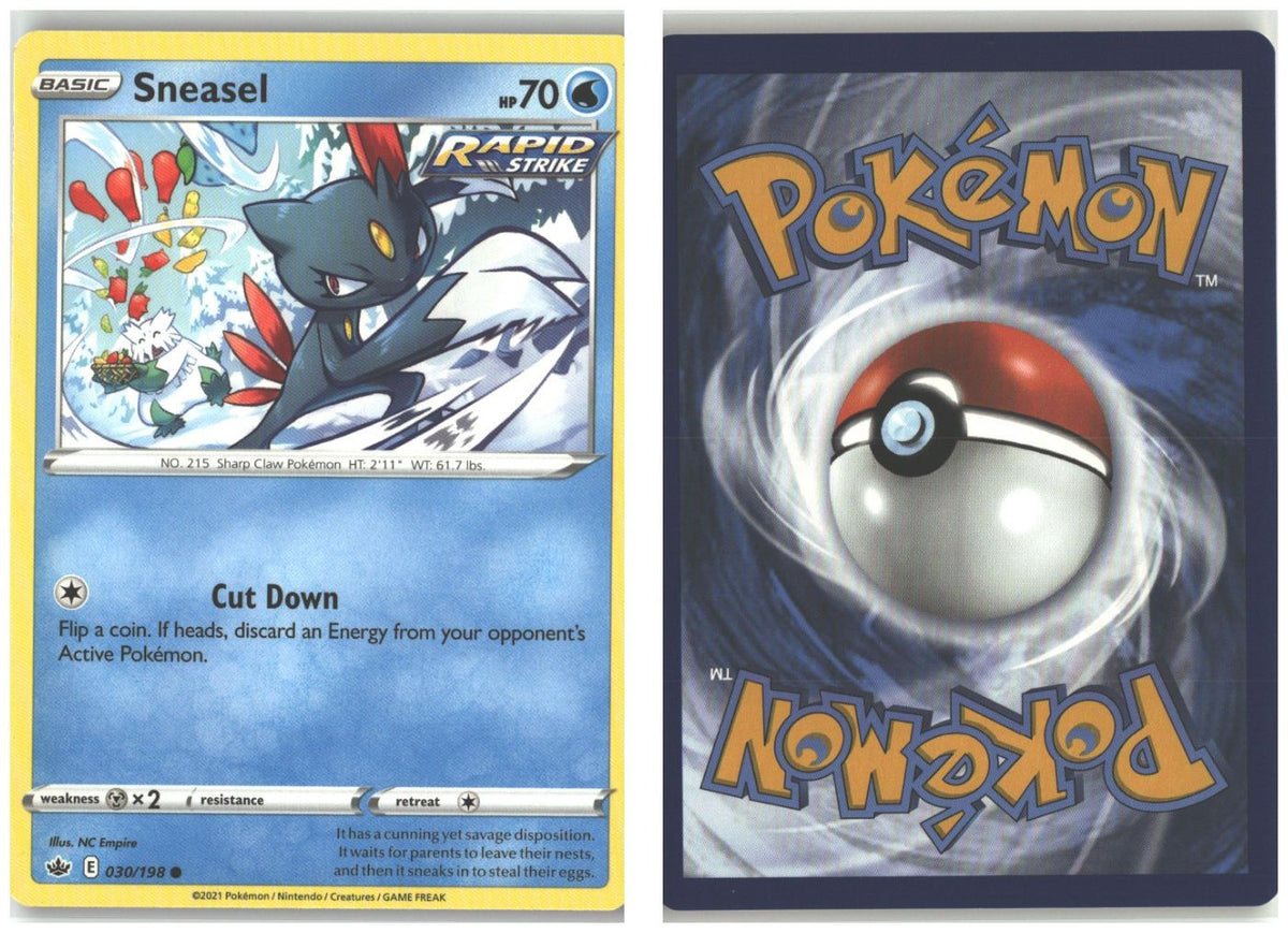 Front + Back scan