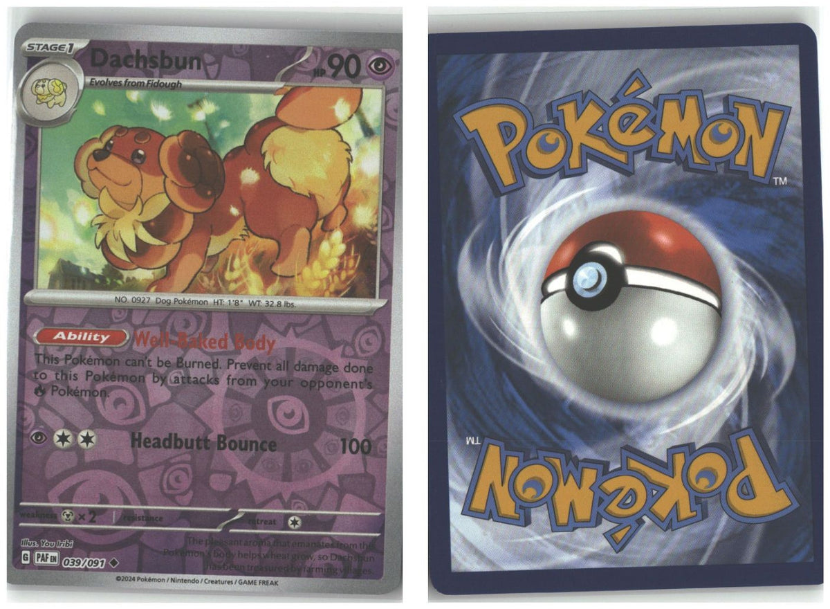Front + Back scan
