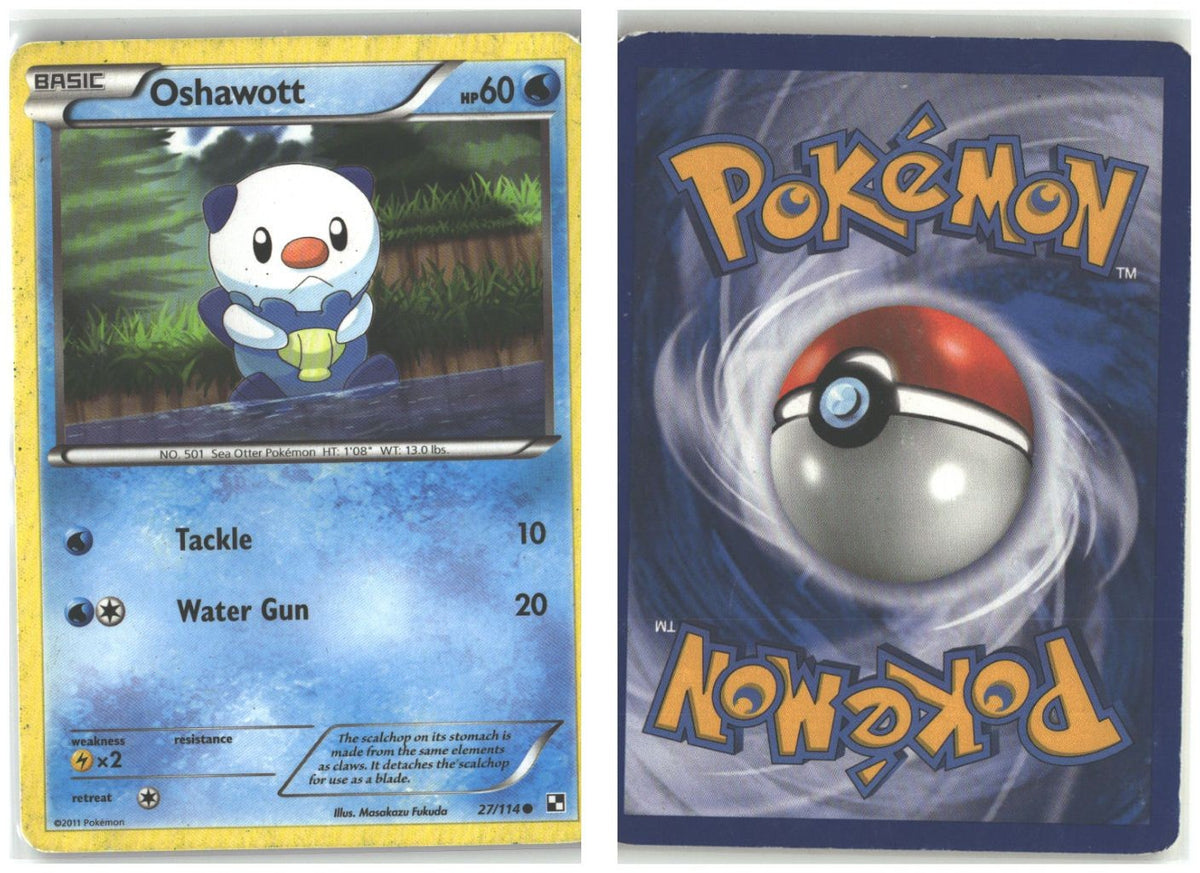 Front + Back scan