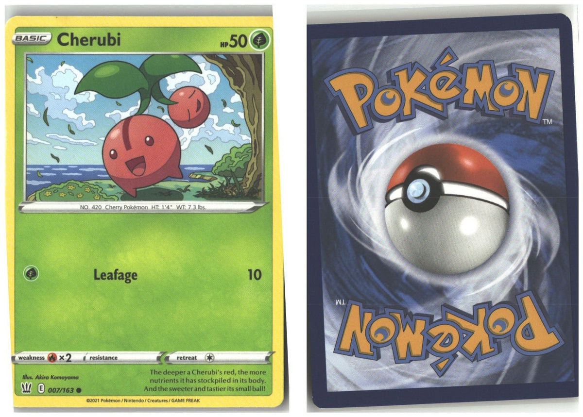 Front + Back scan