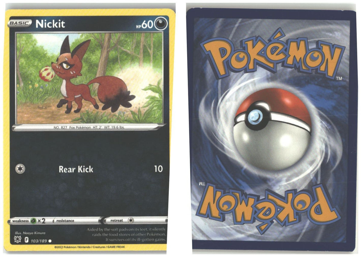 Front + Back scan