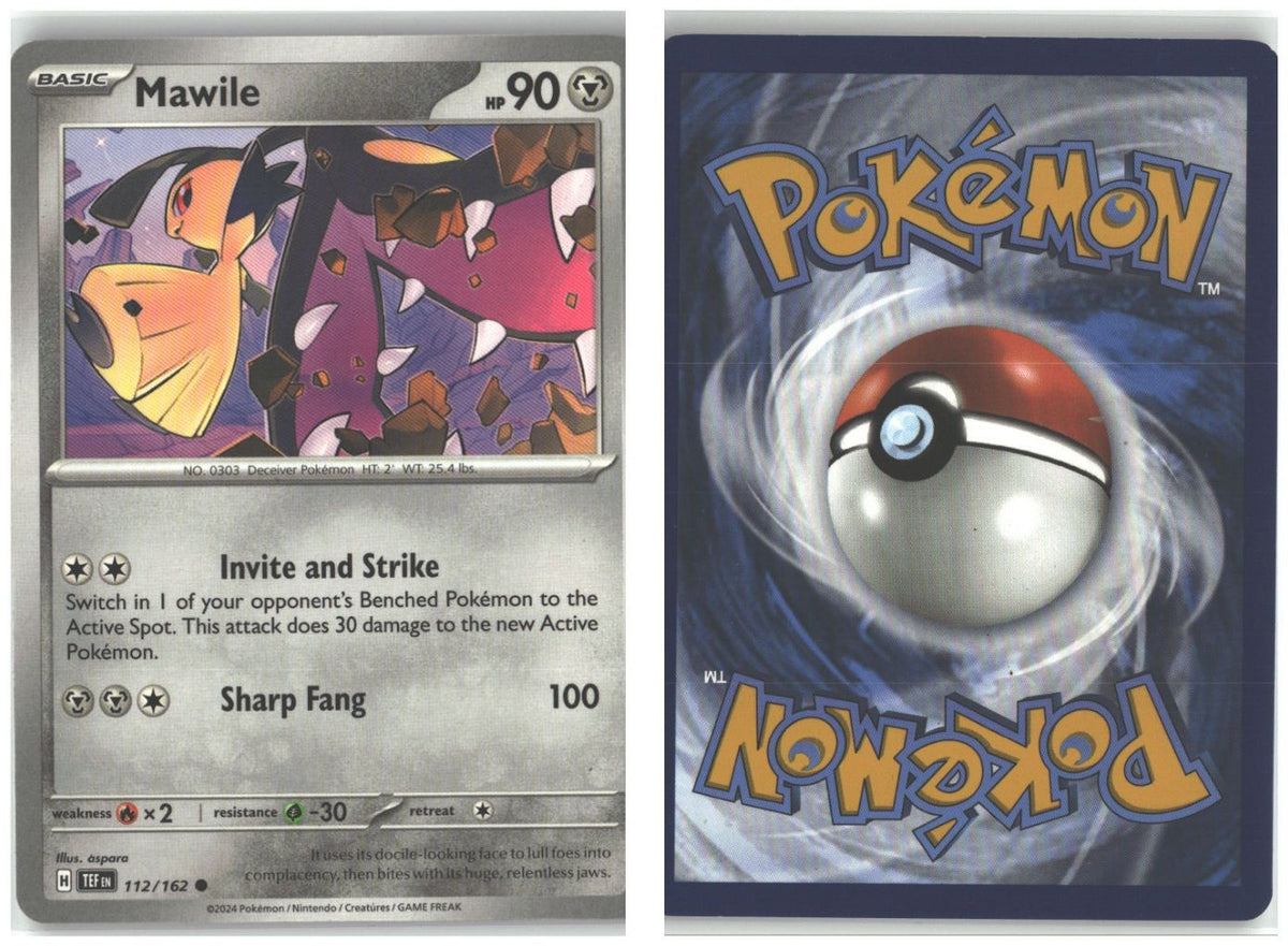 Front + Back scan