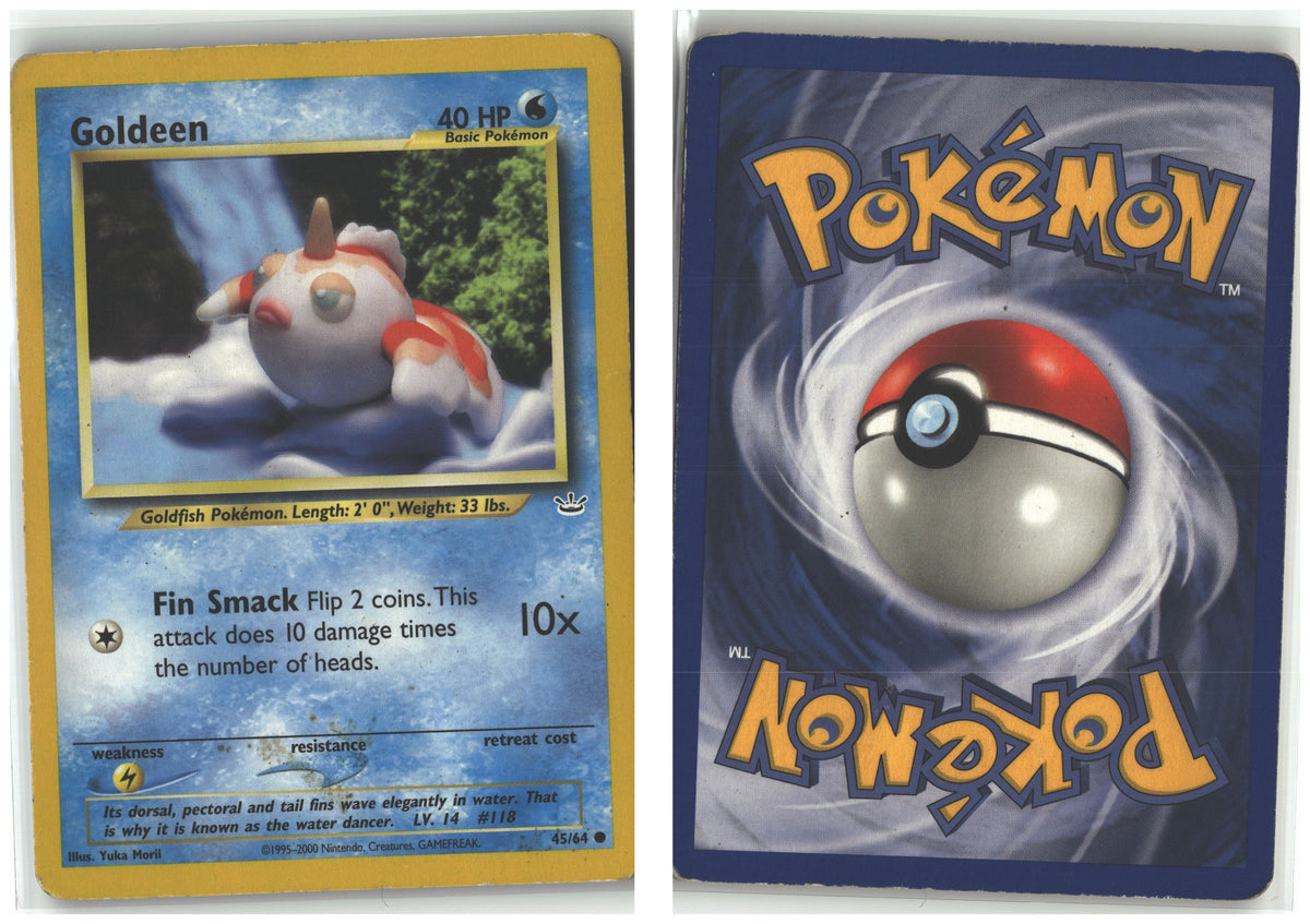 Front + Back scan